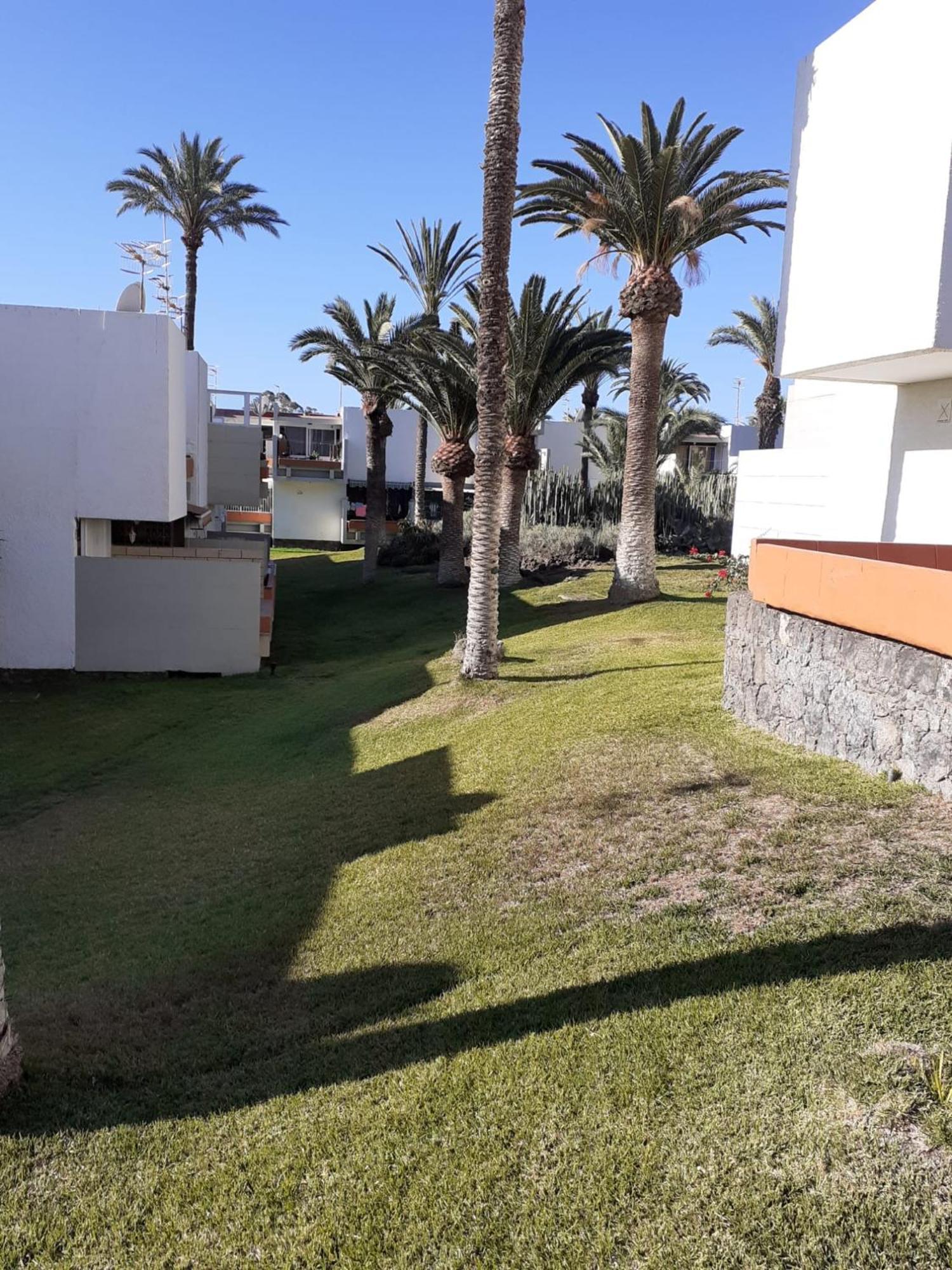 Precioso apartamento  Costa del Silencio Exterior foto